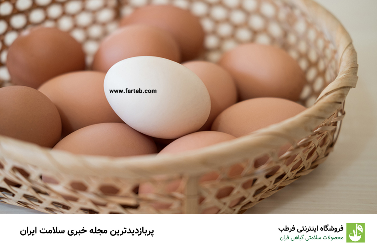 تخم‌مرغ: منبع مناسب روی و پروتئین