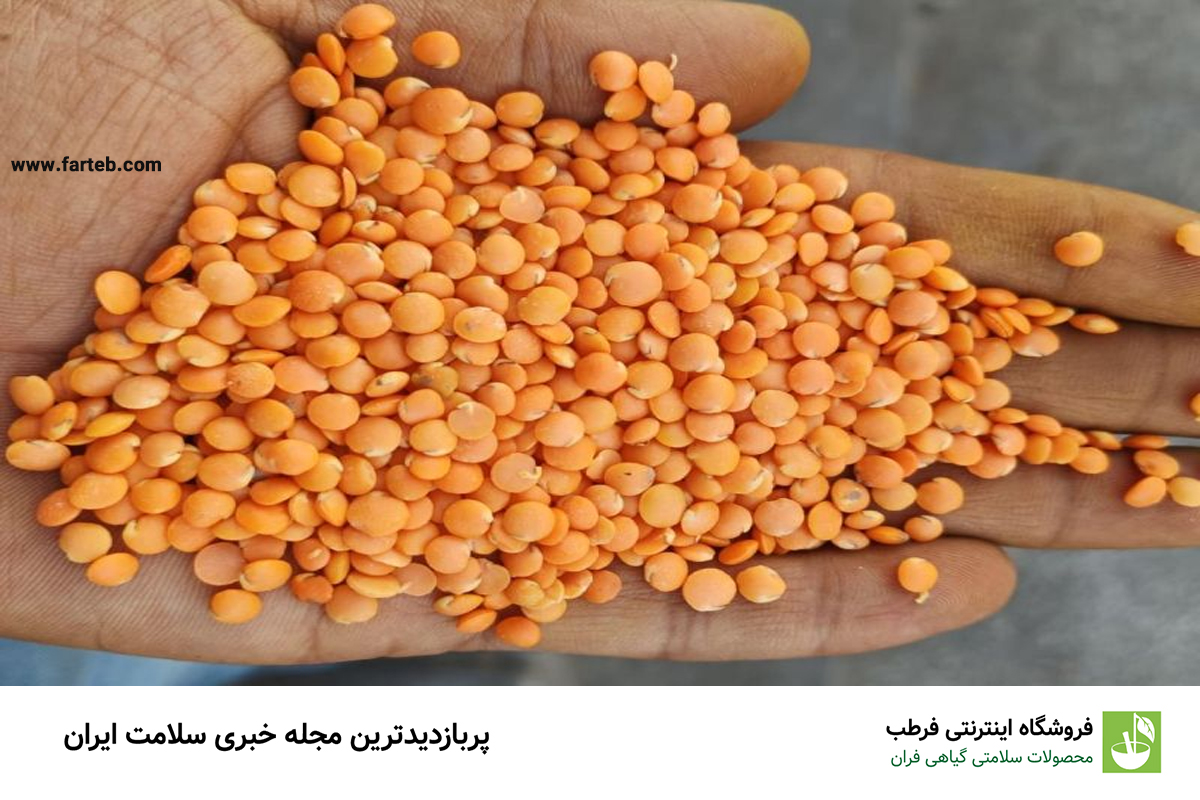 خواص دال عدس (خاصیت های دارویی)