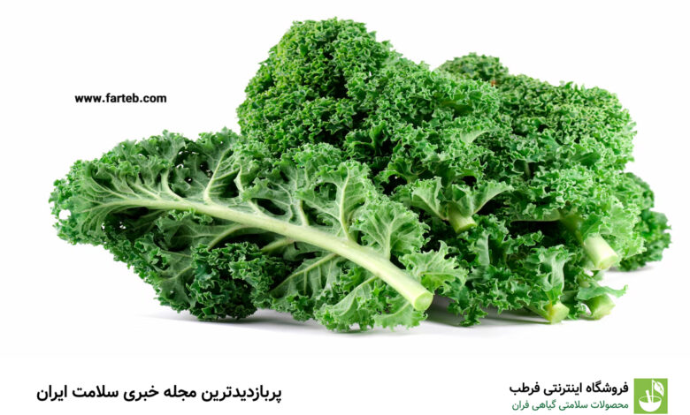 کلم کیل؛ انواع، خواص و نحوه مصرف این سبزی مغذی