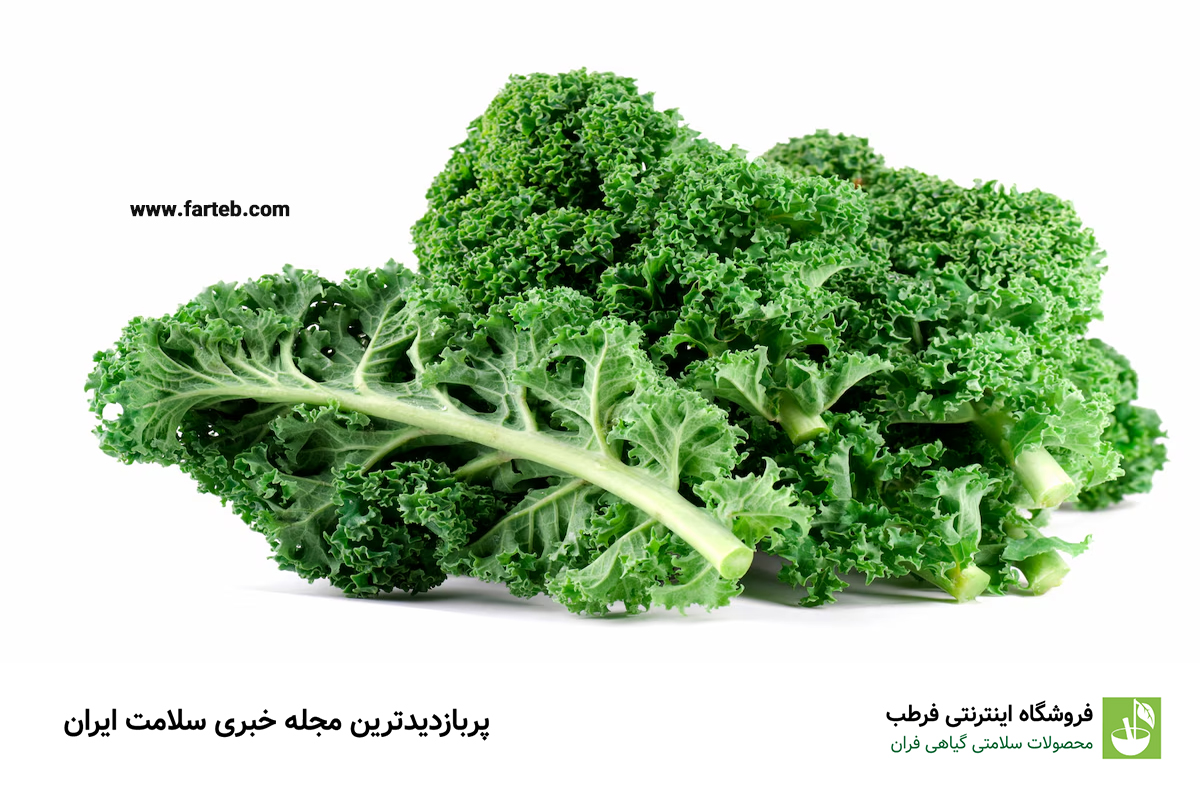 کلم کیل؛ انواع، خواص و نحوه مصرف این سبزی مغذی