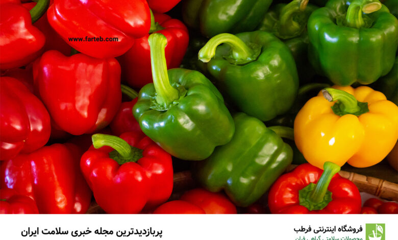 خاصیت فلفل دلمه ای (17 فایده فلفل دلمه)