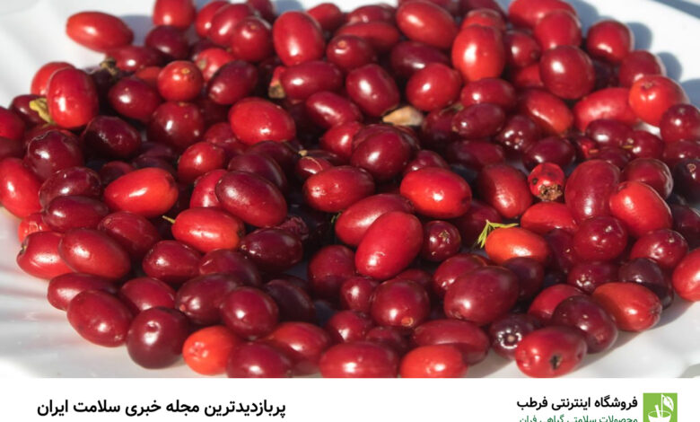 خواص شگفت انگیز زغال اخته برای درمان کبد چرب و سنگ کلیه