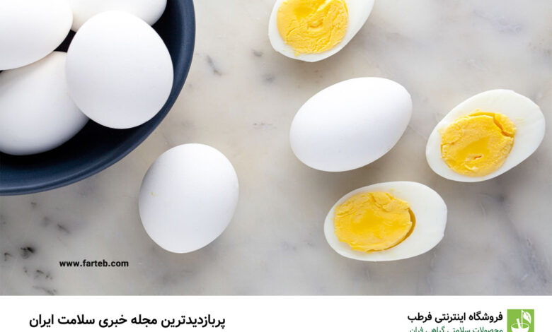 تخم مرغ با زرده یا بدون زرده؟ کدام برای کاهش وزن بهتره؟