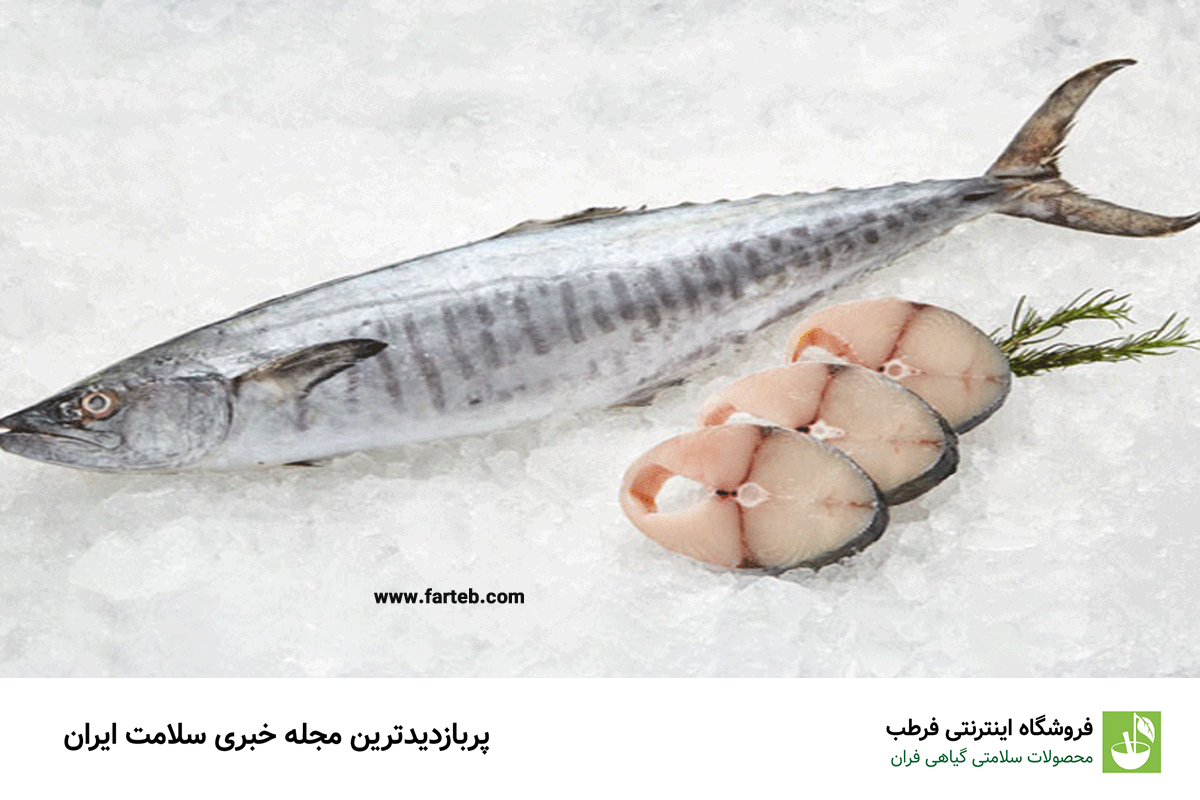 ۱۰ مورد از فواید مصرف ماهی شیر جنوب