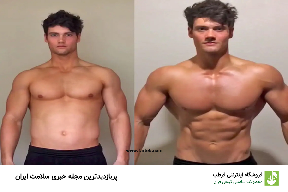 بهترین زمان ورزش برای عضله سازی؛ صبح، ظهر یا شب؟