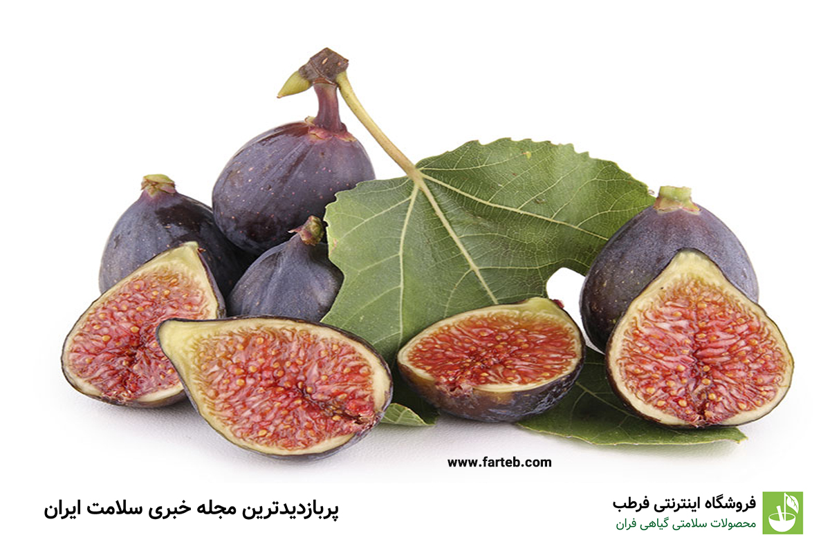 خواص انجیر سیاه (خواص درمانی و ضررها)