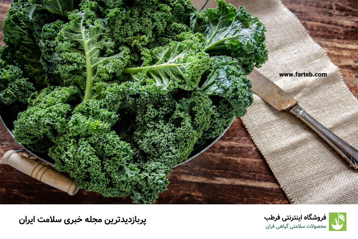 کلم کیل؛ انواع، خواص و نحوه مصرف این سبزی مغذی