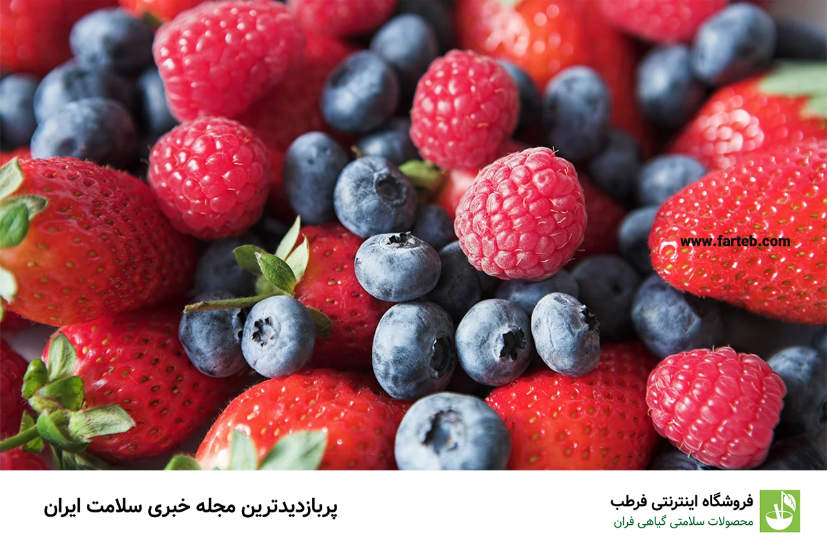 توت‌ها: منابع قدرتمند آنتی‌اکسیدان برای محافظت از مو