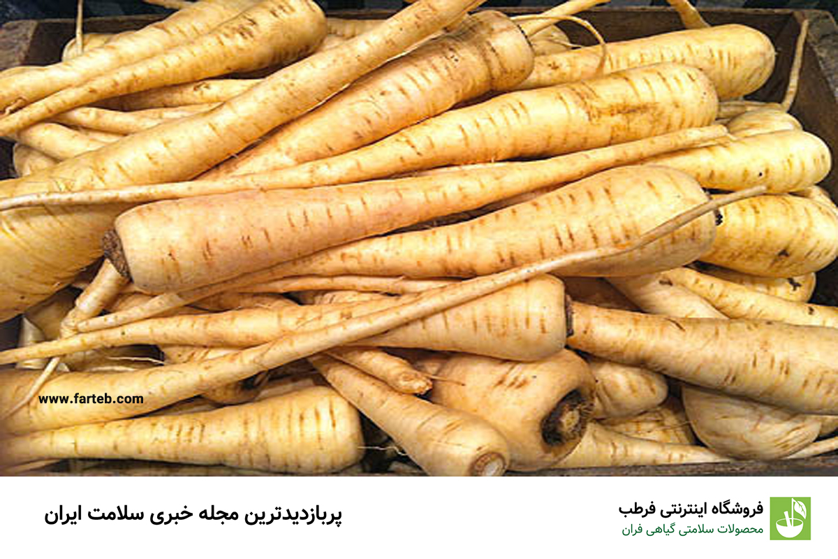 زردک چیست و چه تفاوتی با هویج دارد؟ فواید، روش پخت و مصرف آن