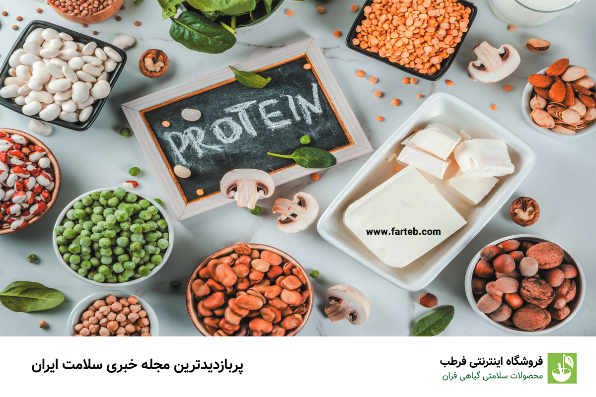 نقش پروتئین در مدیریت وزن و متابولیسم بدن