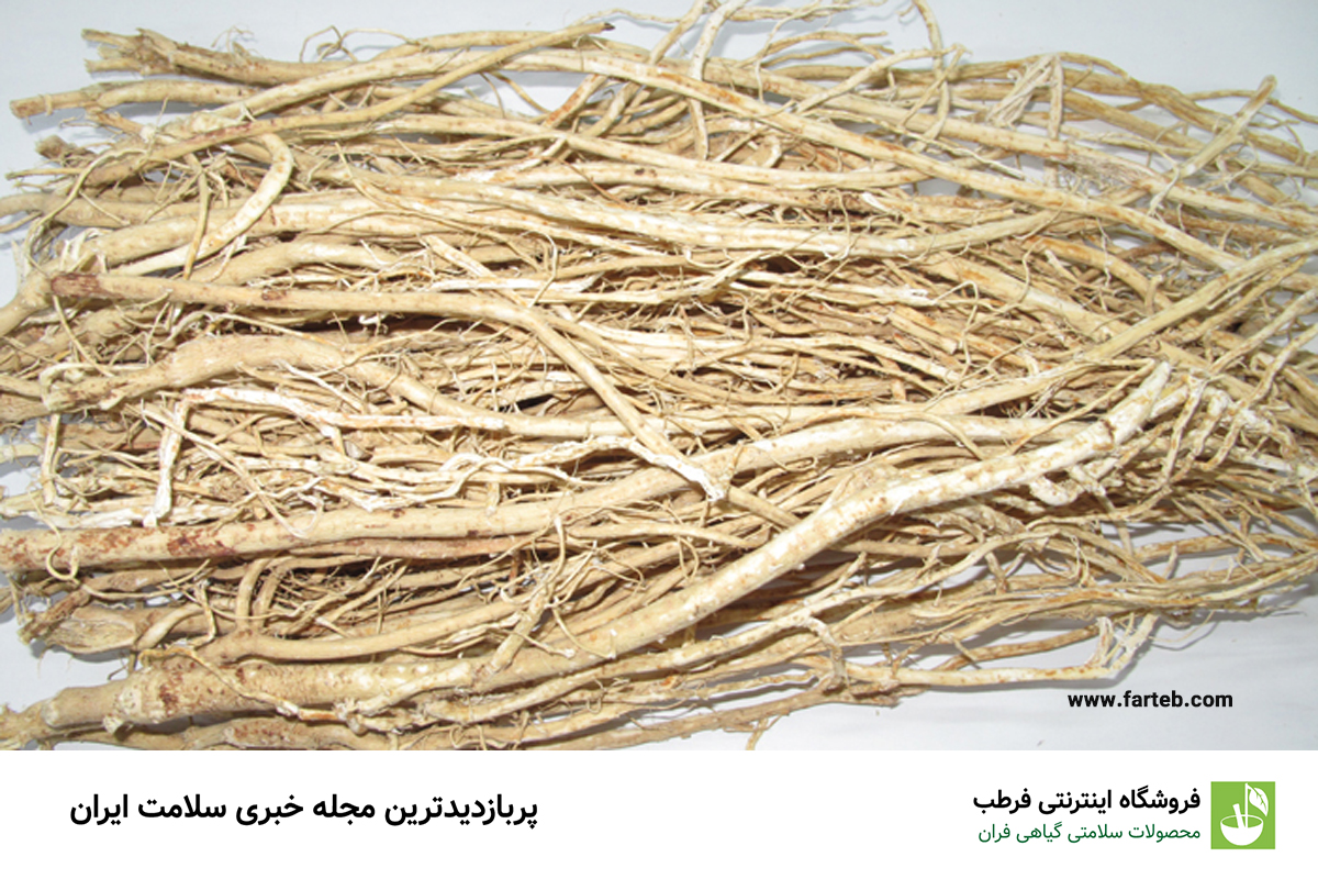 خواص گیاه گون برای بدن و اعصاب