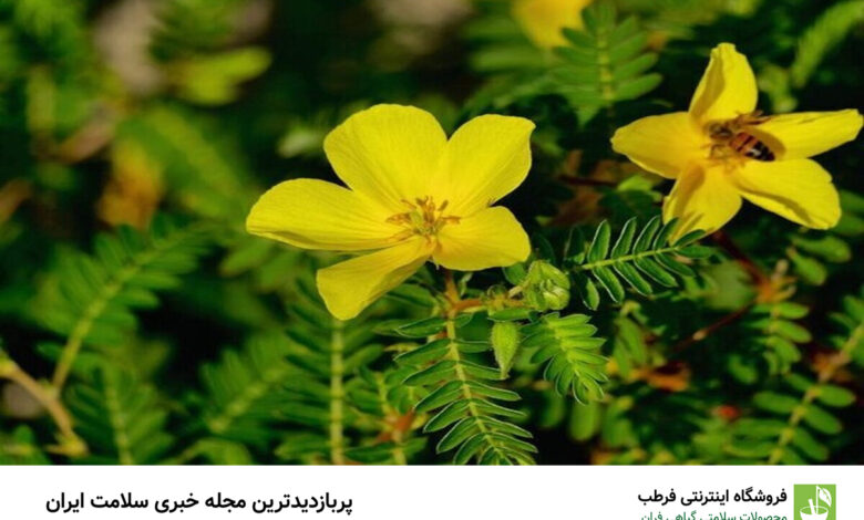 فواید عرق خارخاسک