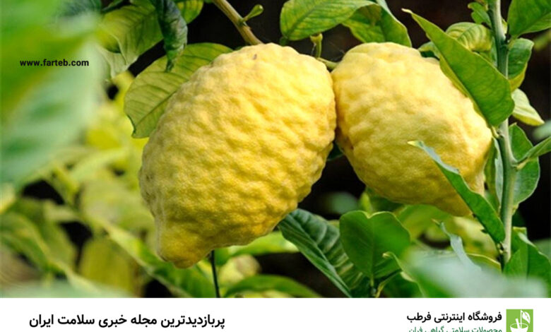 خواص بالنگ (12 فایده فوق العاده + جدول ارزش غذایی)