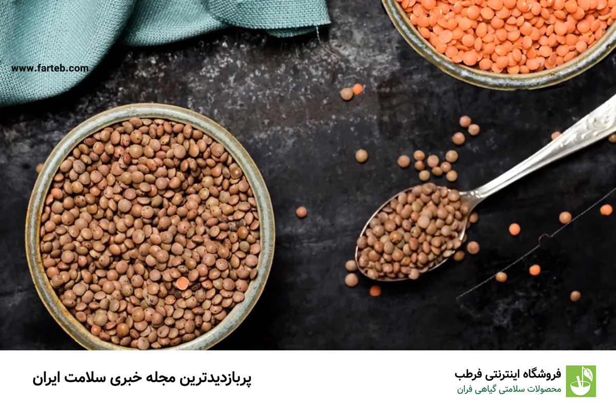 خواص دال عدس (خاصیت های دارویی)