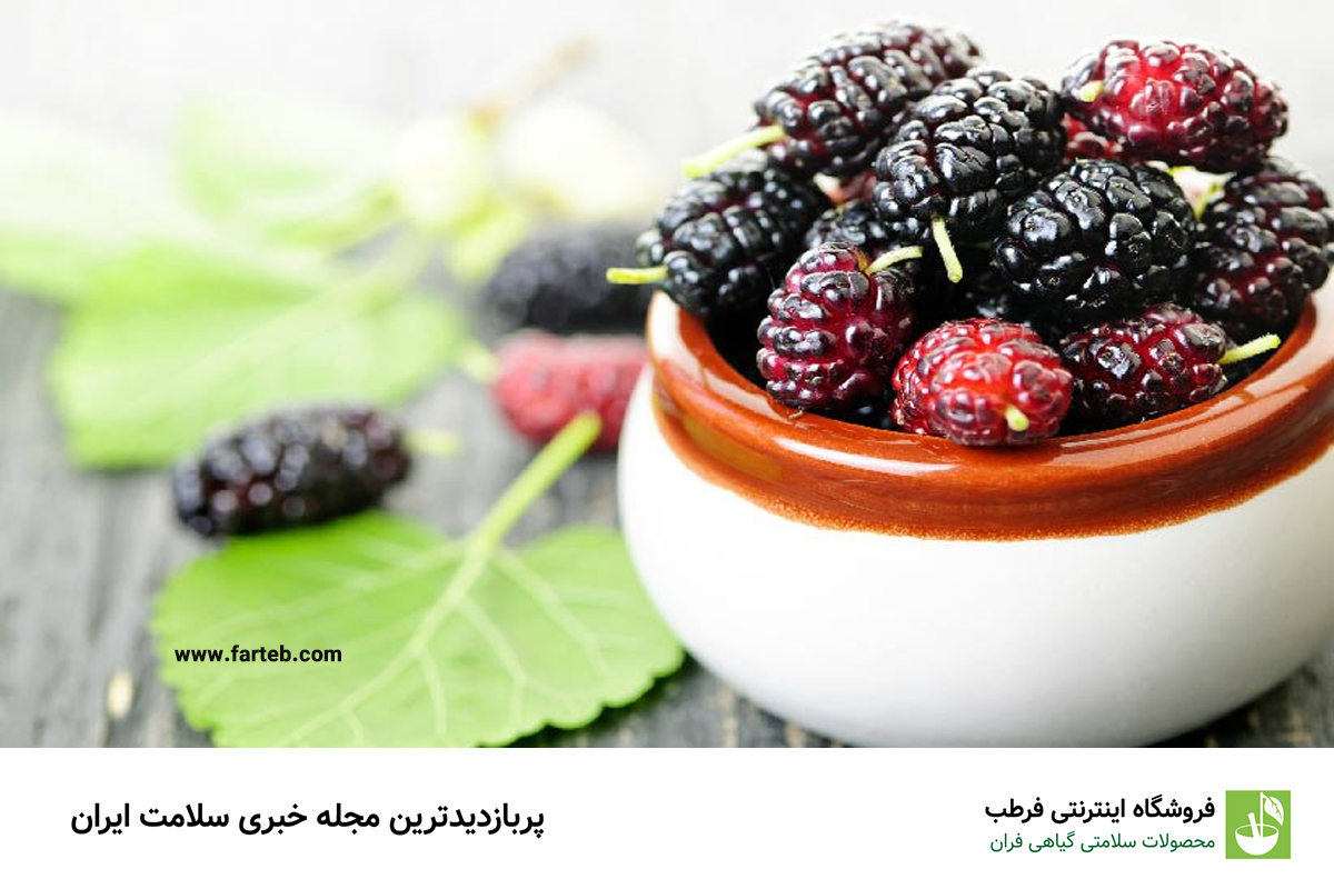 طرز تهیه دمنوش برگ شاه توت(+12 خاصیت)