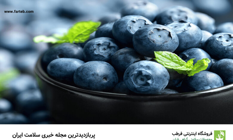 خواص و مضرات بلوبری(+ 6خاصیت بی نظیر)