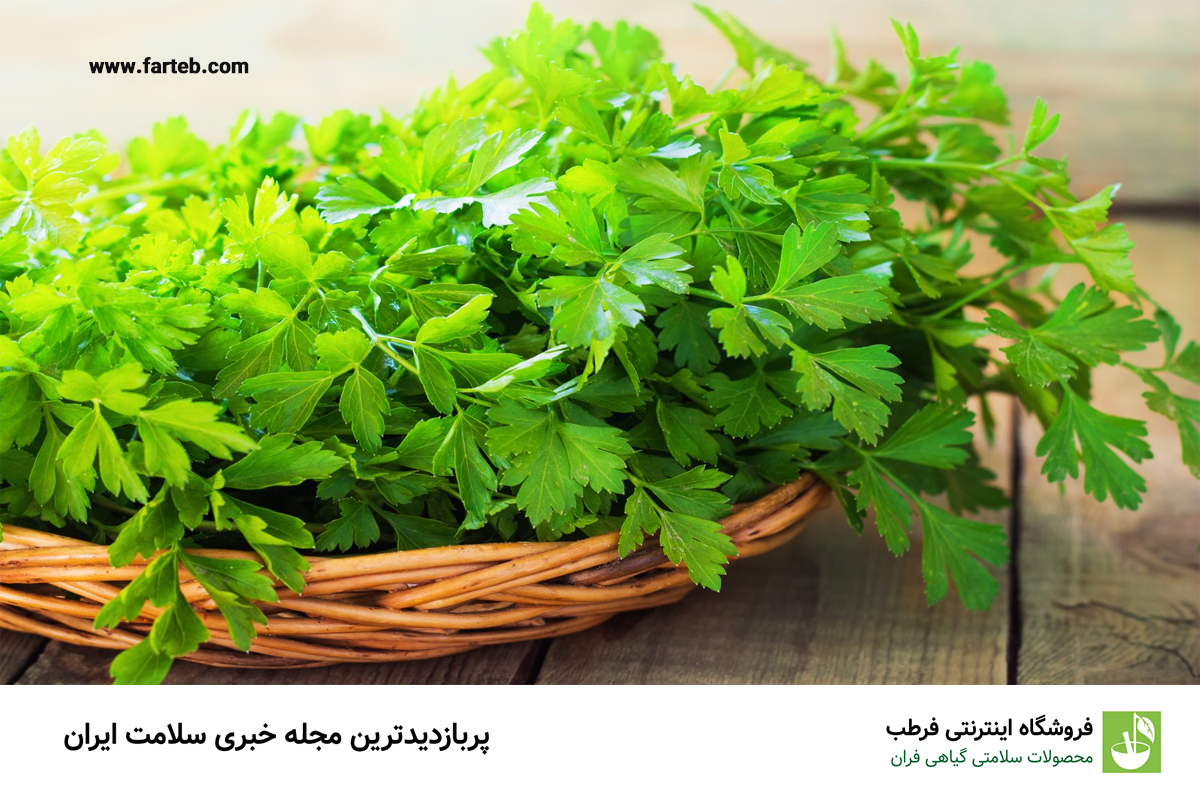 دم‌کرده این سبزی ناشتا سنگ کلیه رو پودر می‌کنه | نابودگر سنگ کلیه کشف شد