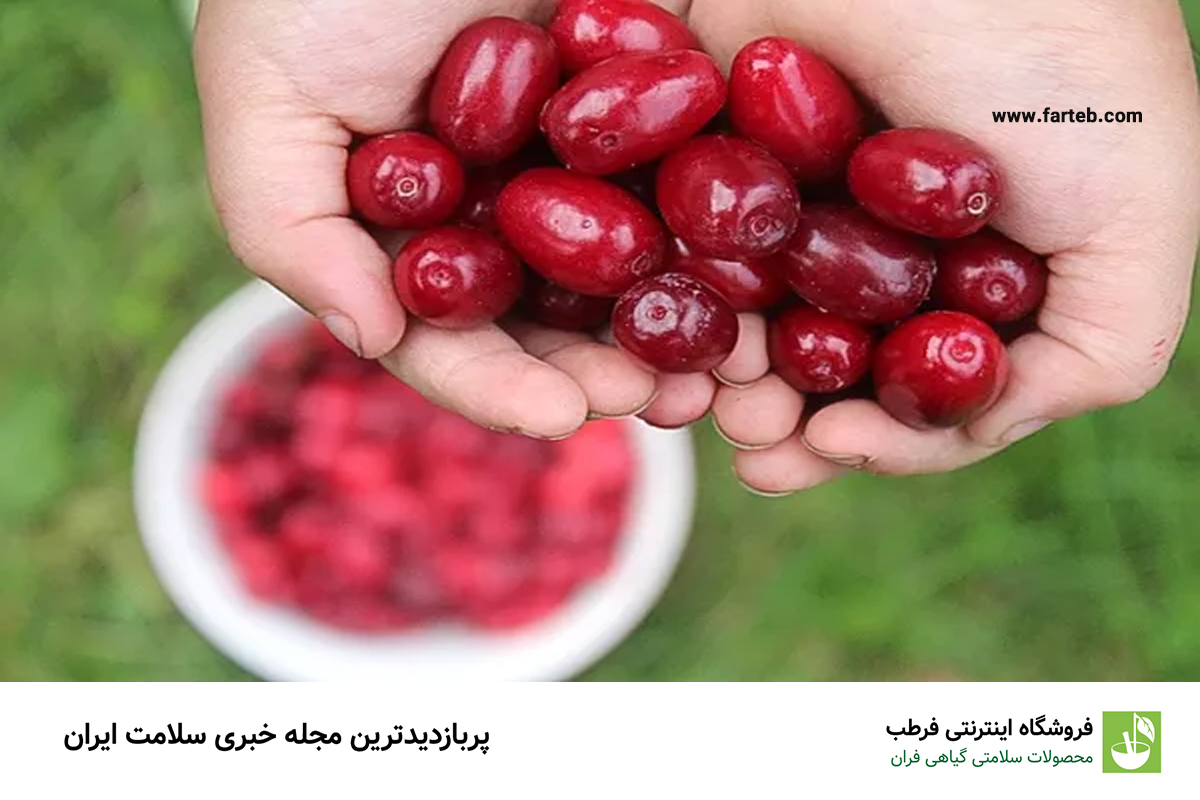 خواص شگفت انگیز زغال اخته برای درمان کبد چرب و سنگ کلیه