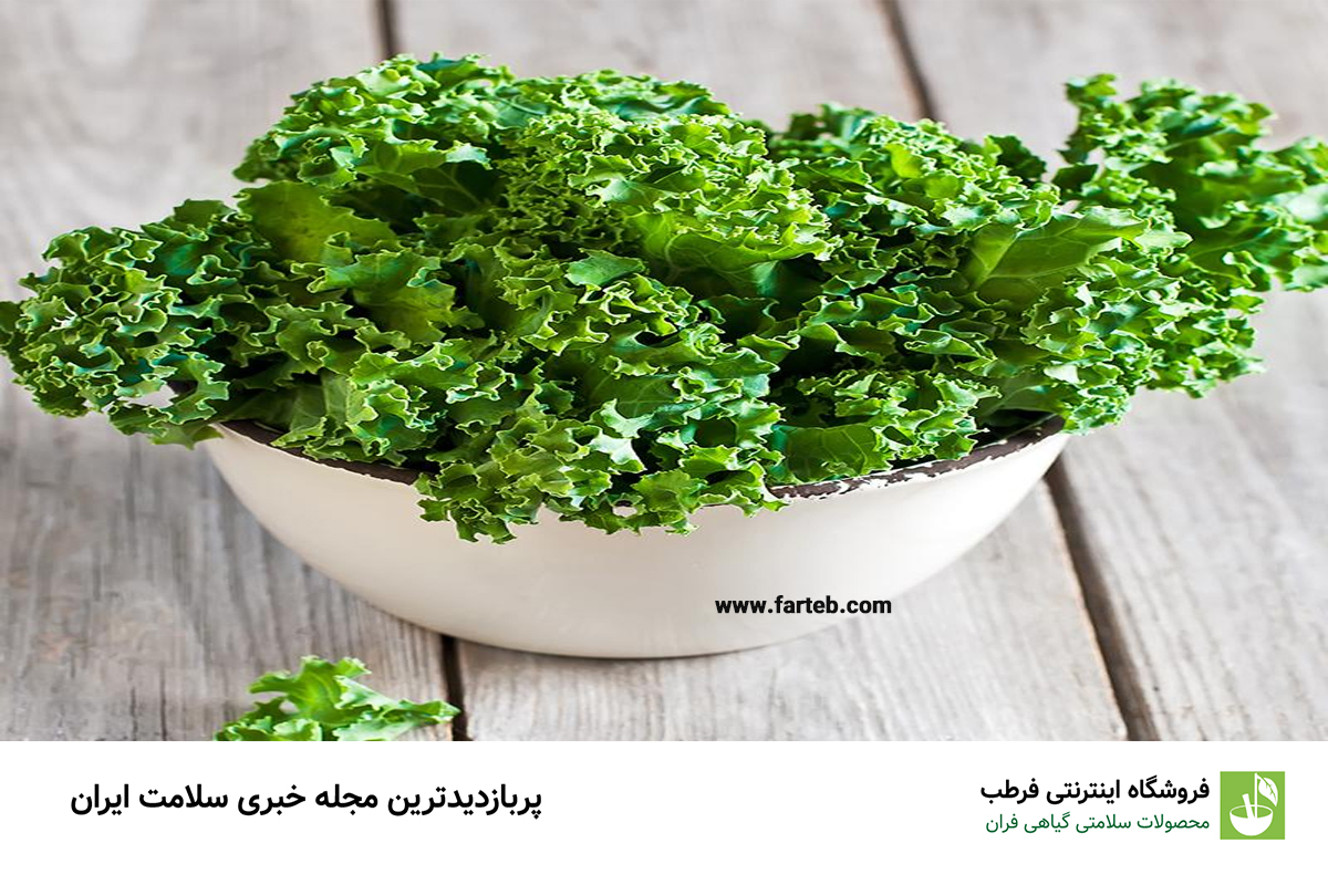کلم کیل؛ انواع، خواص و نحوه مصرف این سبزی مغذی