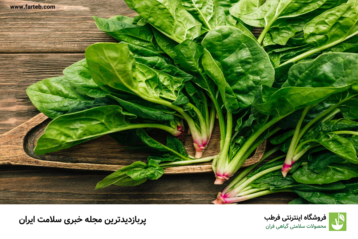 اسفناج: تقویت عضلات با نیترات و آنتی‌اکسیدان‌ها