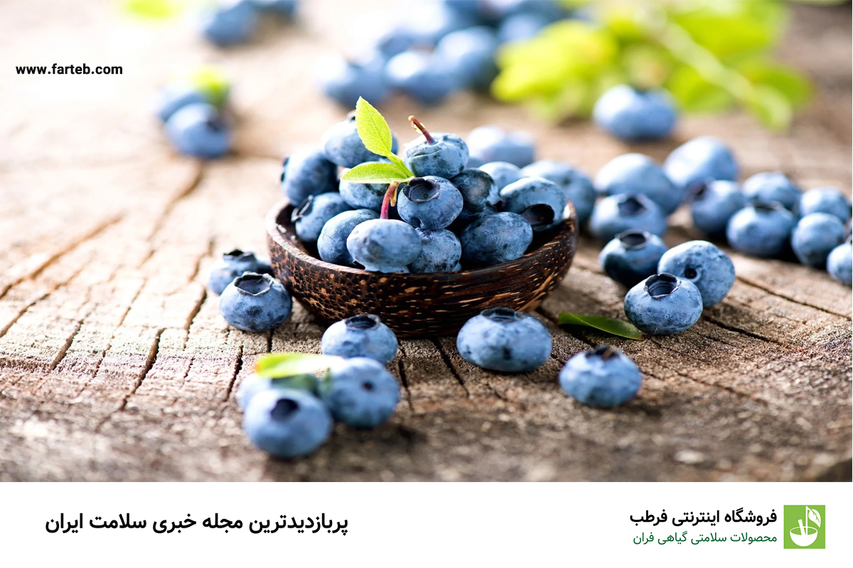 خواص و مضرات بلوبری(+ 6خاصیت بی نظیر)