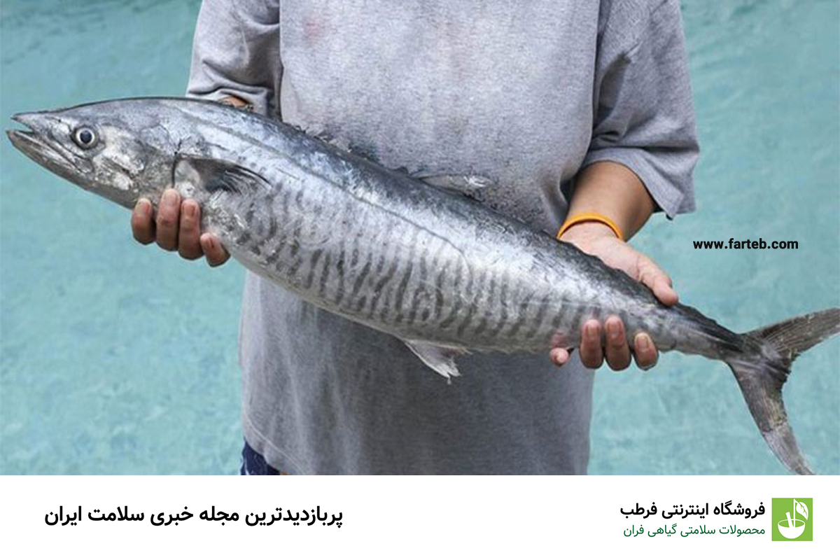 ۱۰ مورد از فواید مصرف ماهی شیر جنوب