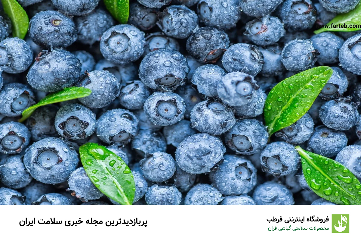 خواص و مضرات بلوبری(+ 6خاصیت بی نظیر)