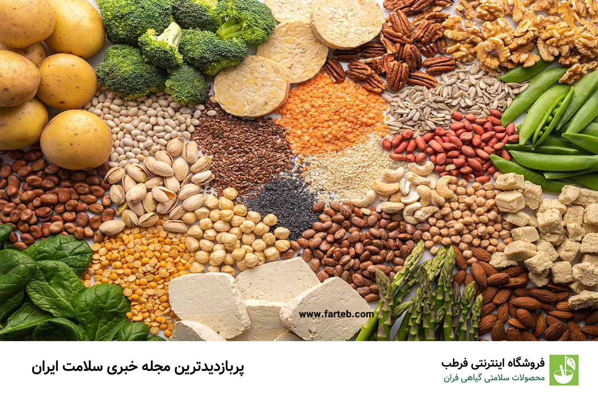 اهمیت انتخاب پروتئین باکیفیت برای سلامتی