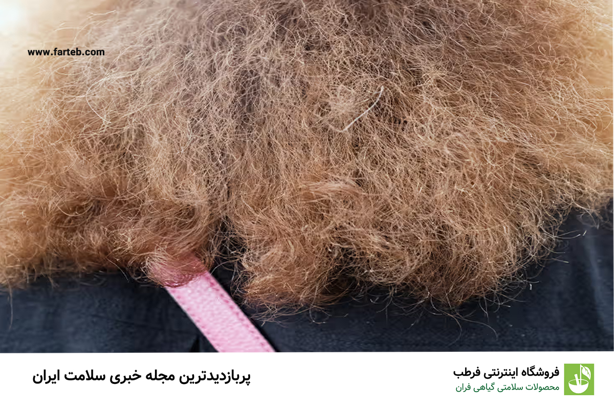 بهترین راهکار ها برای گرفتن وز مو در خانه