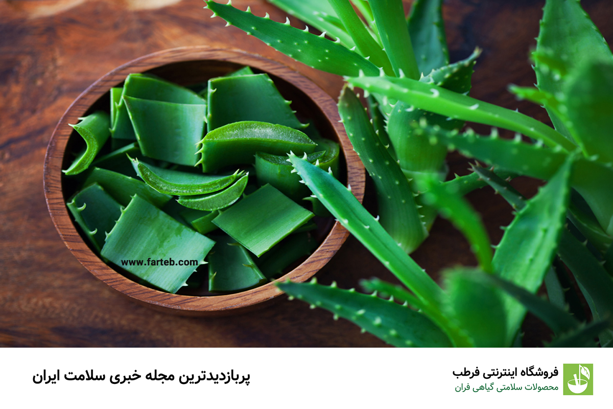 تأثیر آلوئه ورا در کاهش تورم زانو