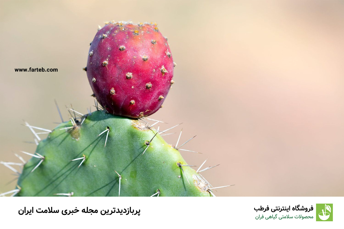 خواص میوه کاکتوس