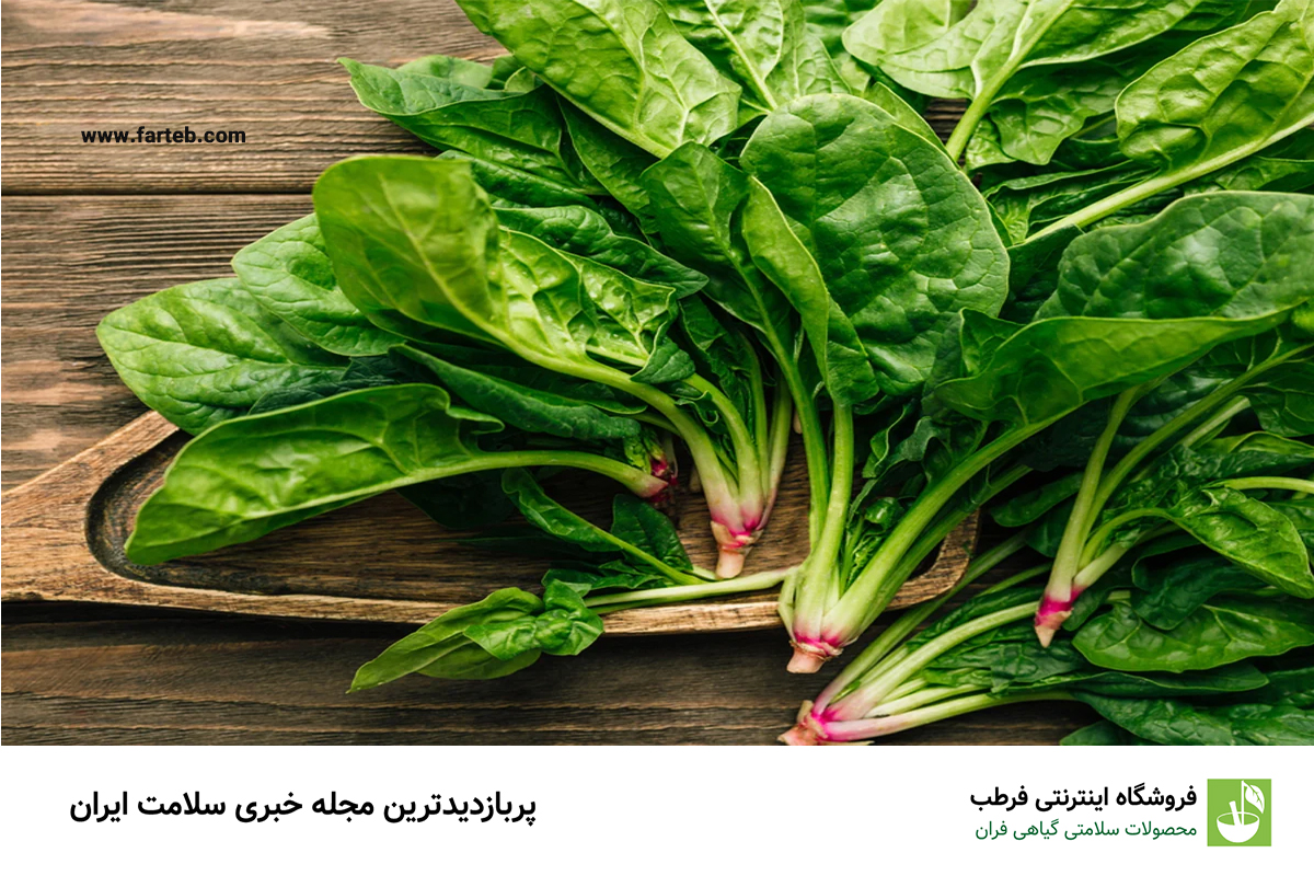 اسفناج: پر از مواد مغذی و فیبر