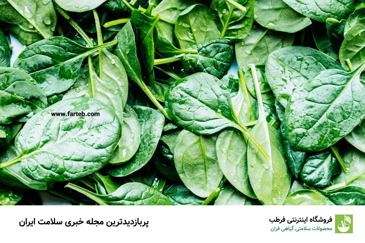 اسفناج: یک منبع فوق‌العاده از لوتئین و زاگزانتین