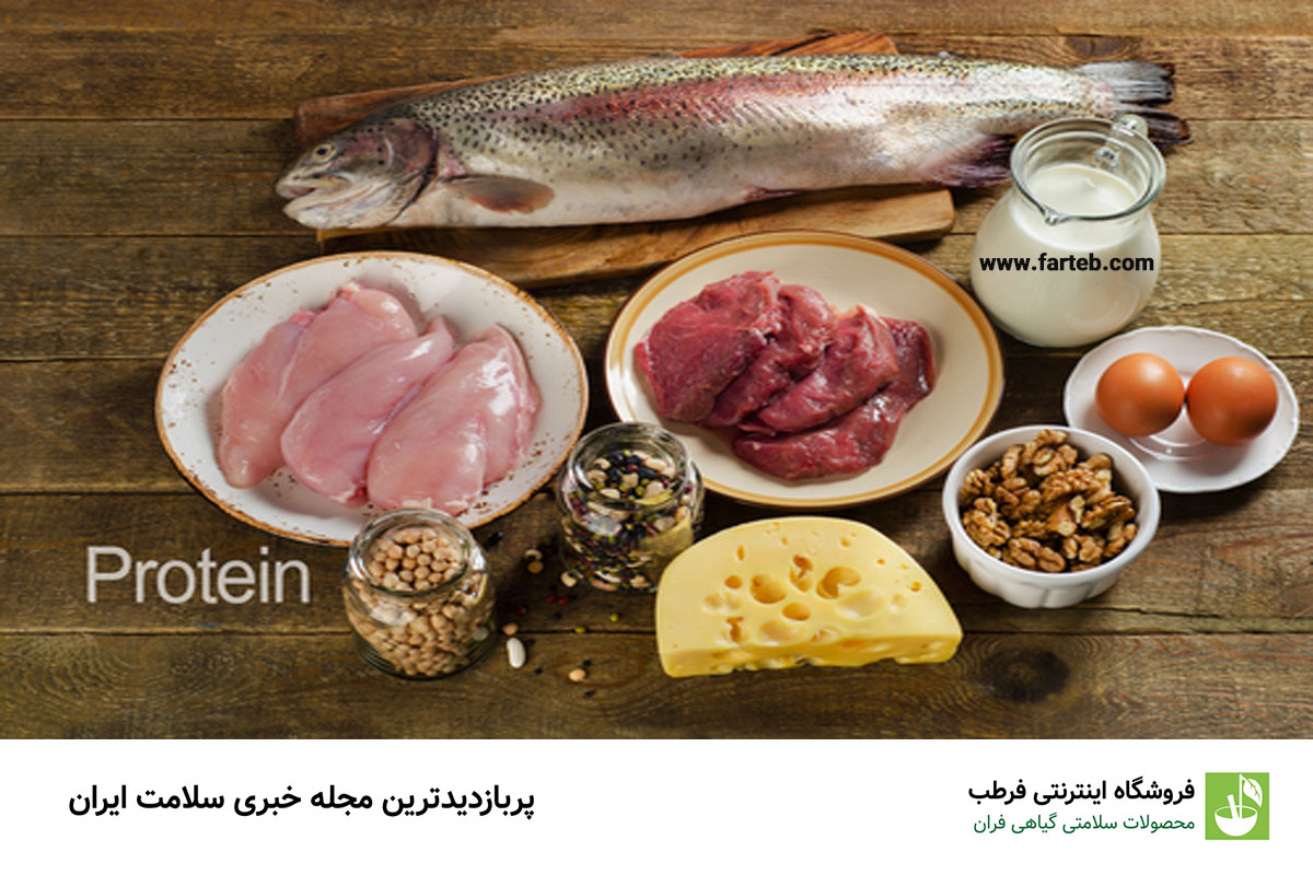 افزایش مصرف پروتئین برای جلوگیری از تحلیل عضلات