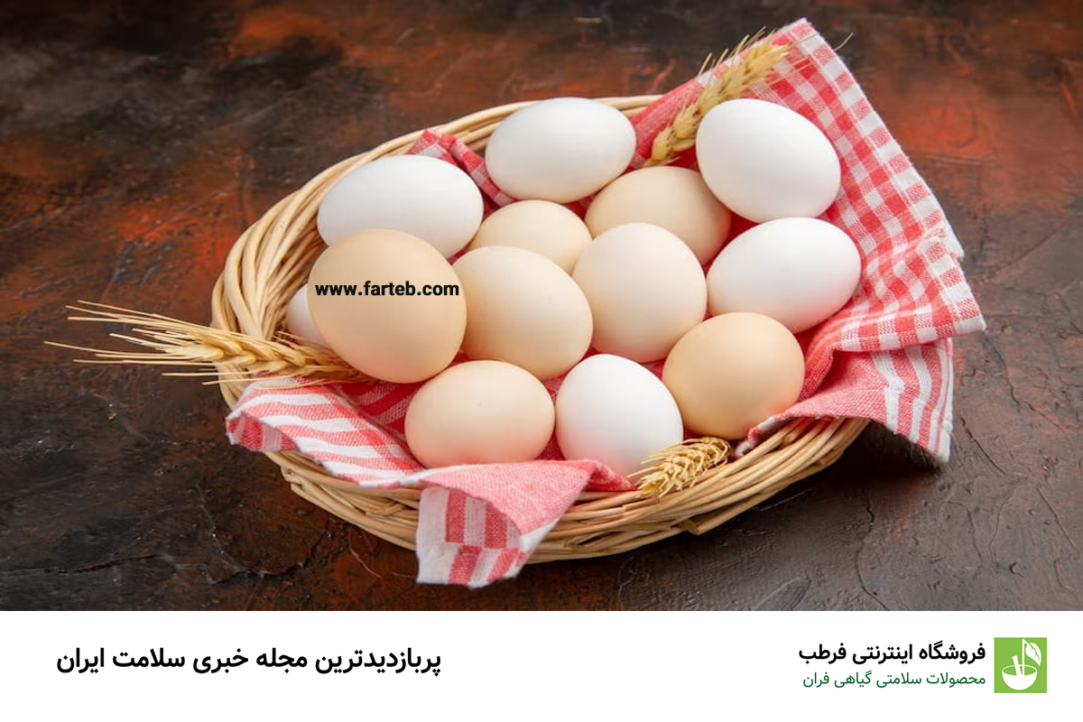 تخم مرغ: بمب مغذی برای آغاز روز