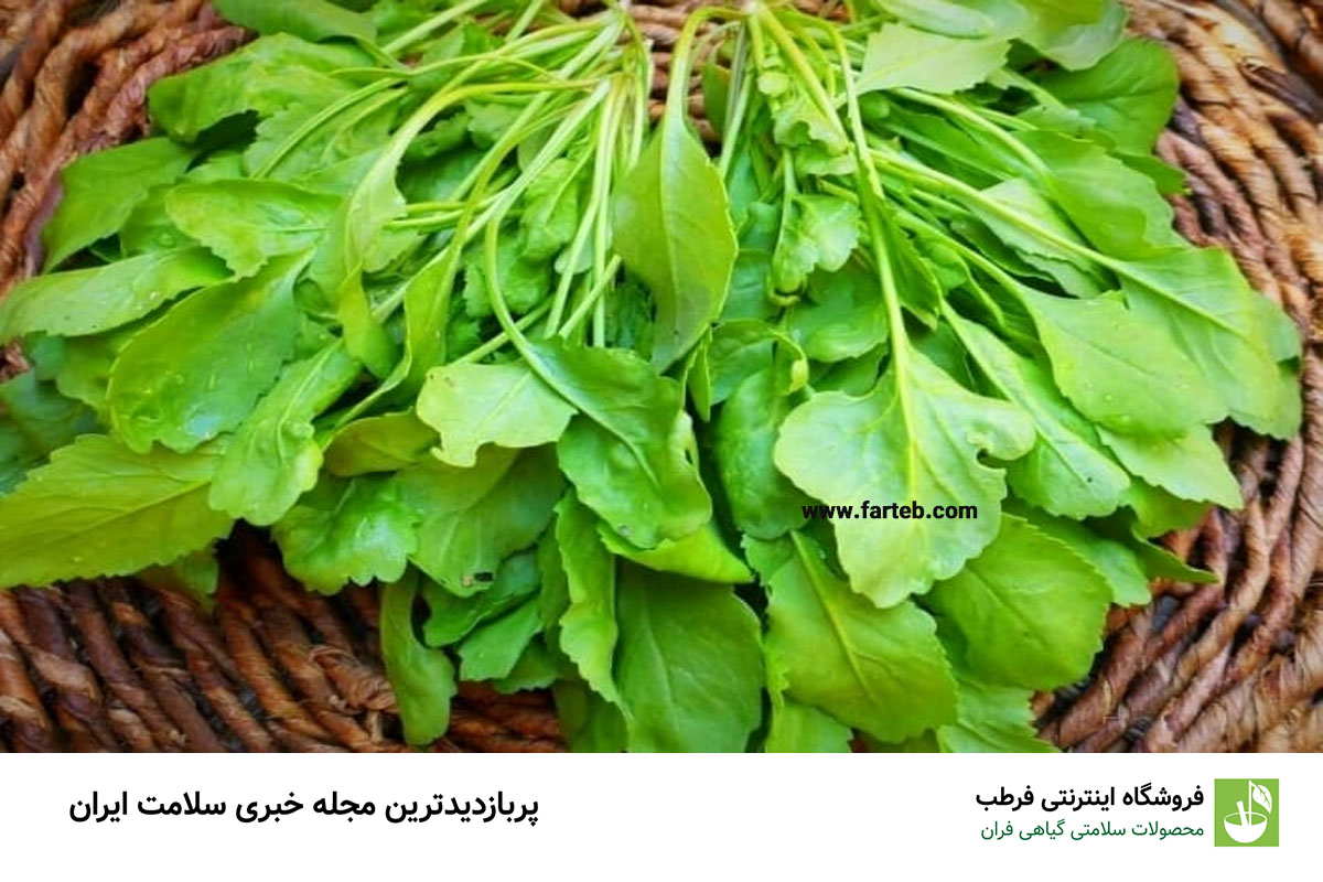 خواص شاهی(8 خاصیت بی نظیر)