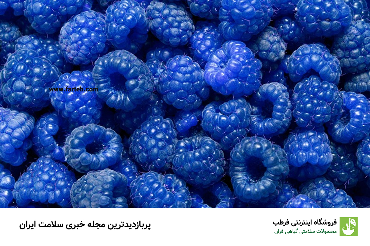 تمشک آبی: حافظه‌ای قوی با آنتی‌اکسیدان‌ها