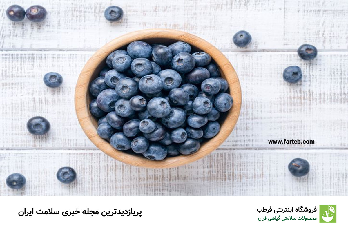 بلوبری: قوی‌ترین منبع آنتی‌اکسیدان طبیعی