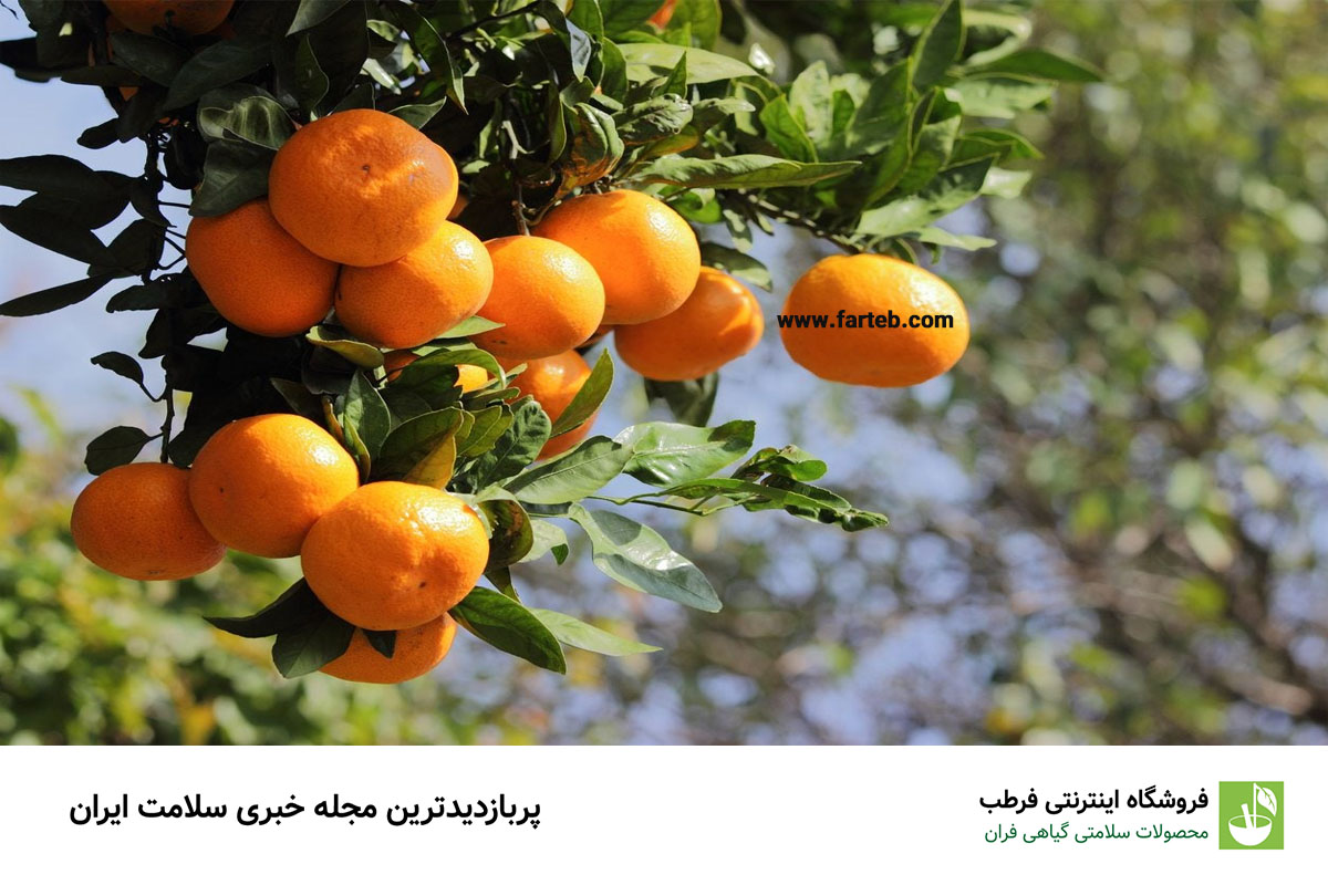 خواص نارنگی برای بدن (19 خاصیت مهم)