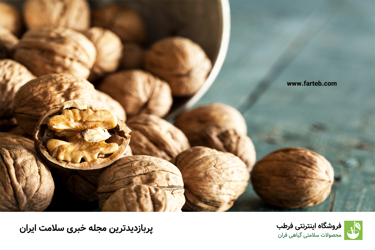گردو؛ منبعی غنی از پروتئین گیاهی و اسیدهای چرب امگا-۳