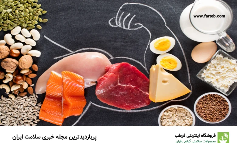 ۱۳ منبع عالی پروتئین برای عضله‌سازی