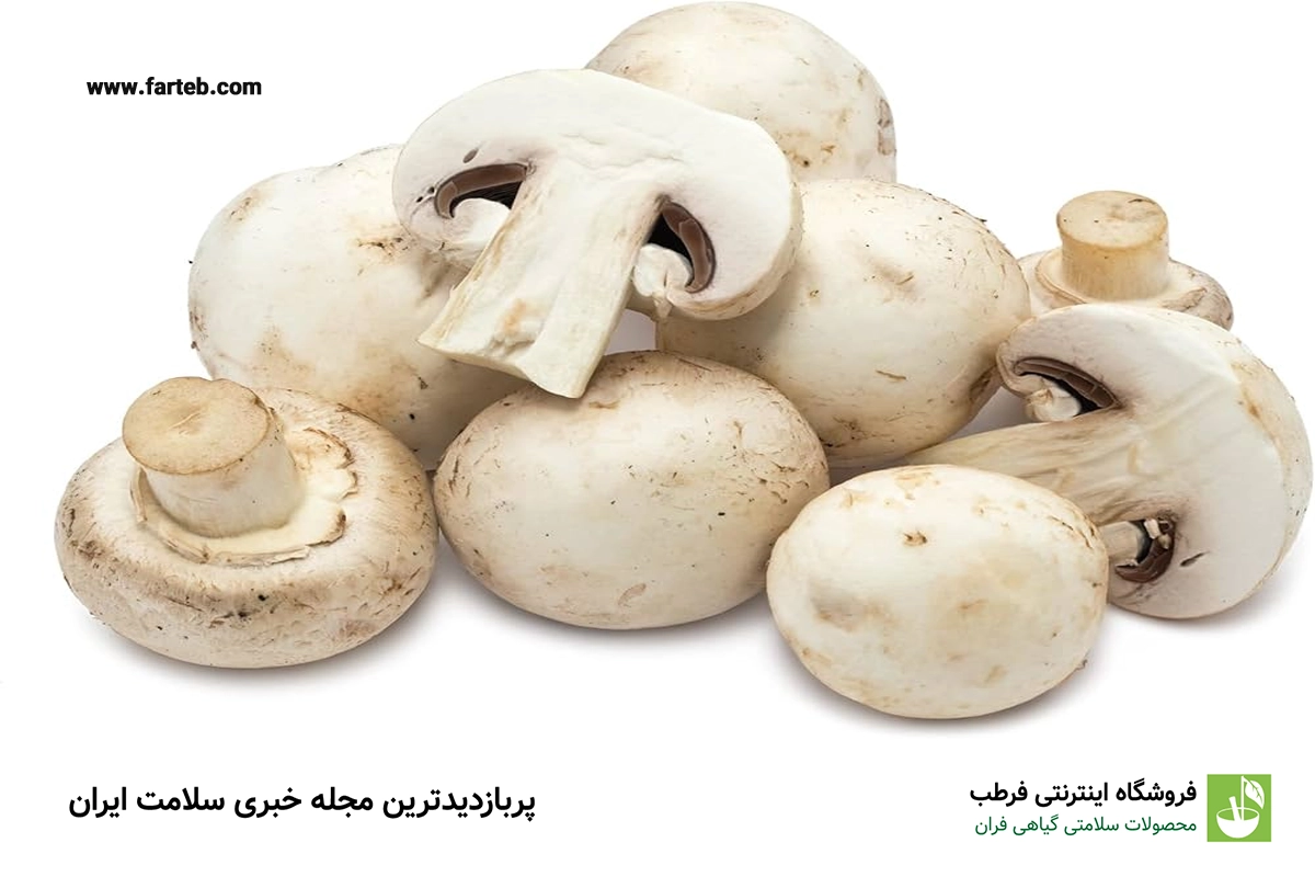 19 تا از مهمترین خواص قارچ که باید بدانید!