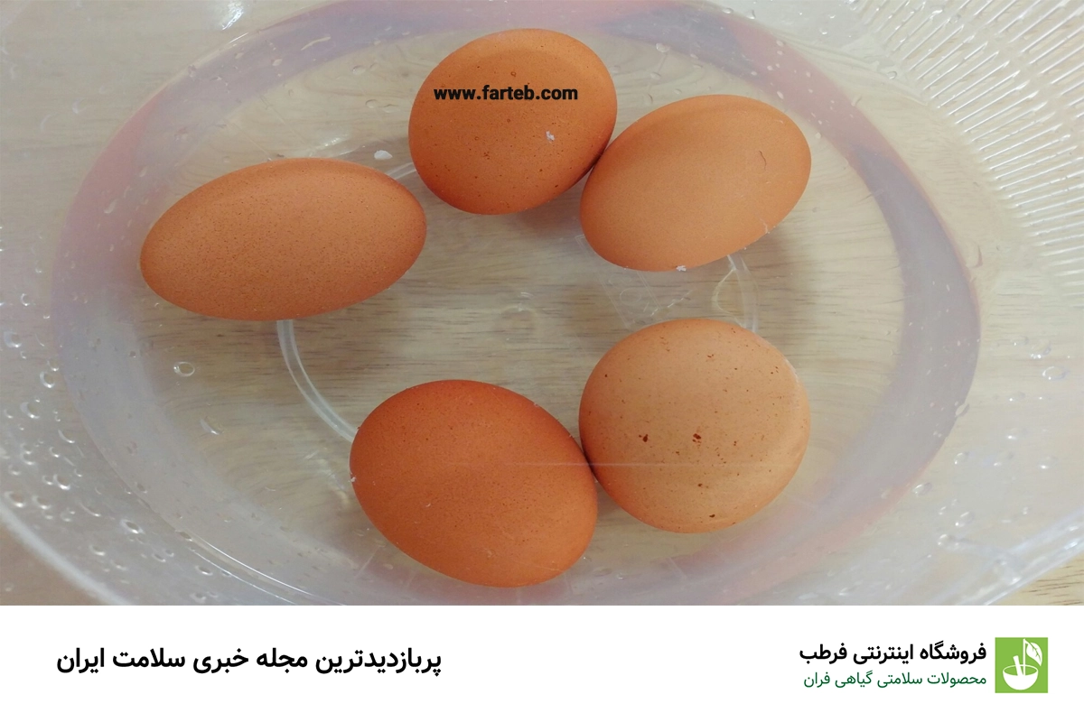 تخم‌مرغ‌ها و آزمایش ساده ماندگاری