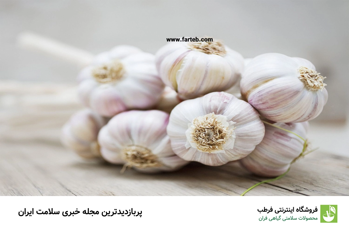 تأثیر ضد باکتریایی سیر ناشتا