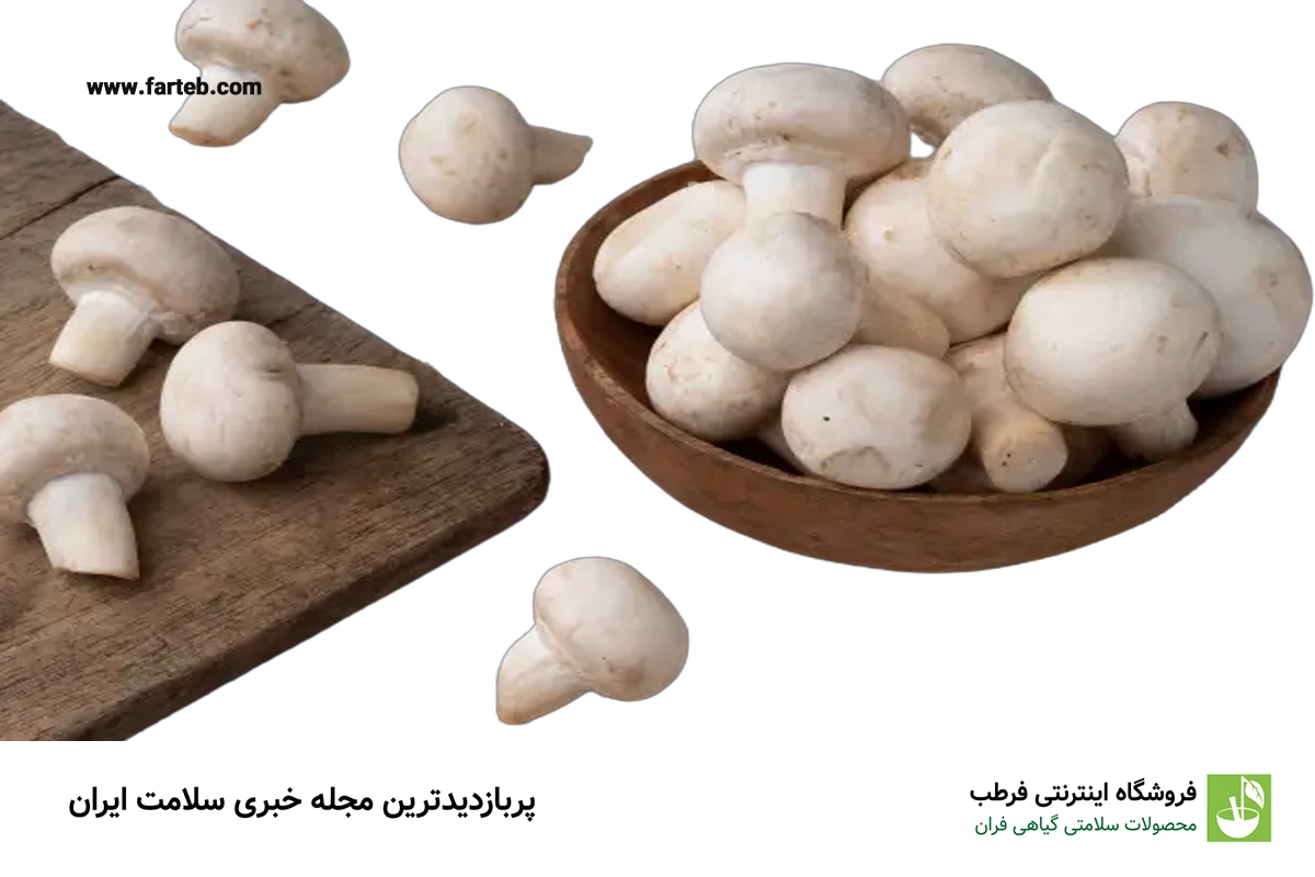 19 تا از مهمترین خواص قارچ که باید بدانید!