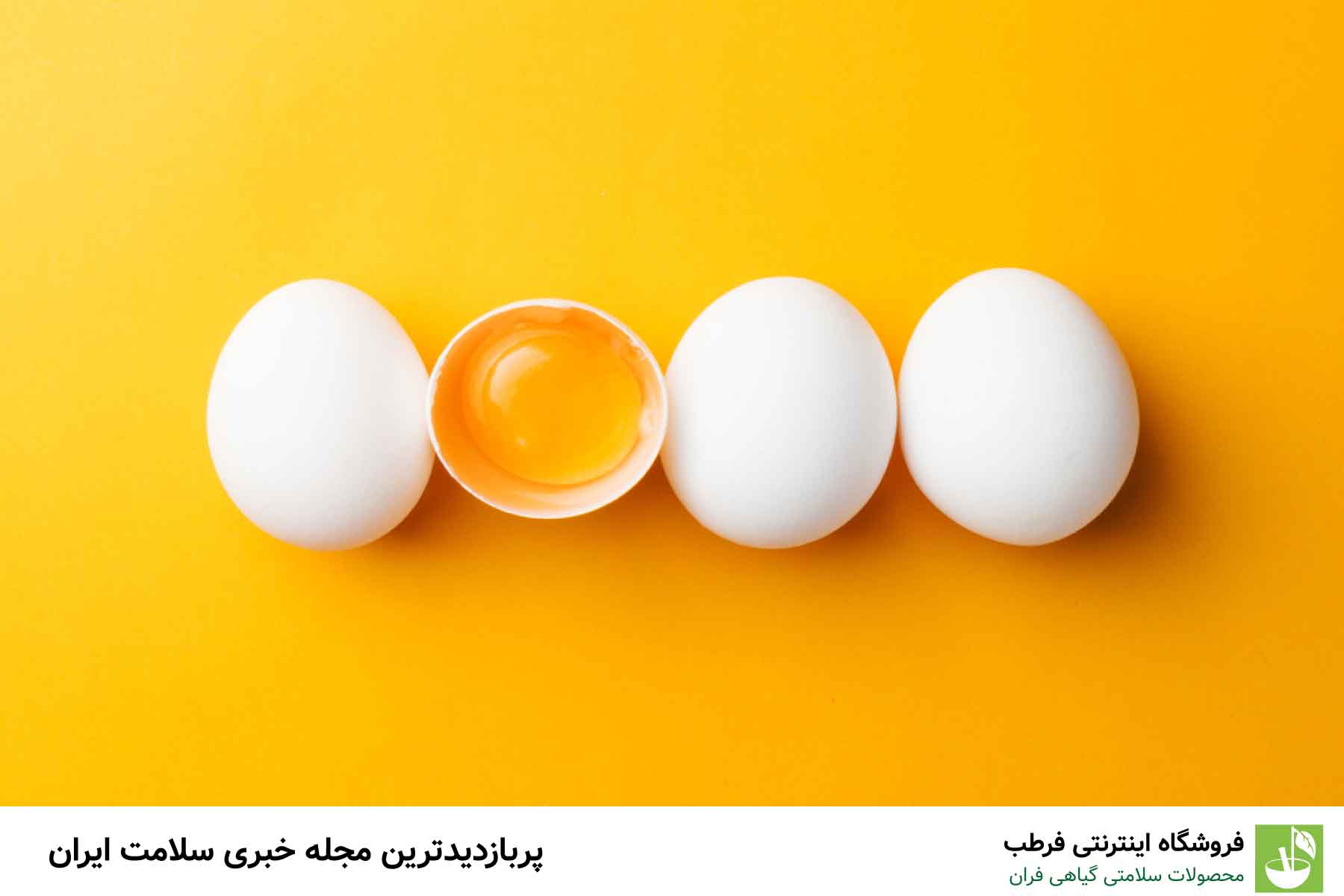 تخممرغ