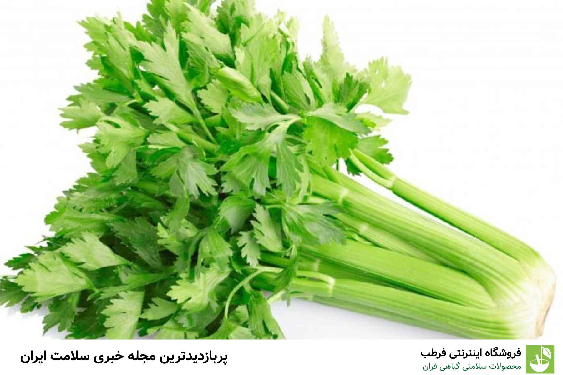 2. کرفس