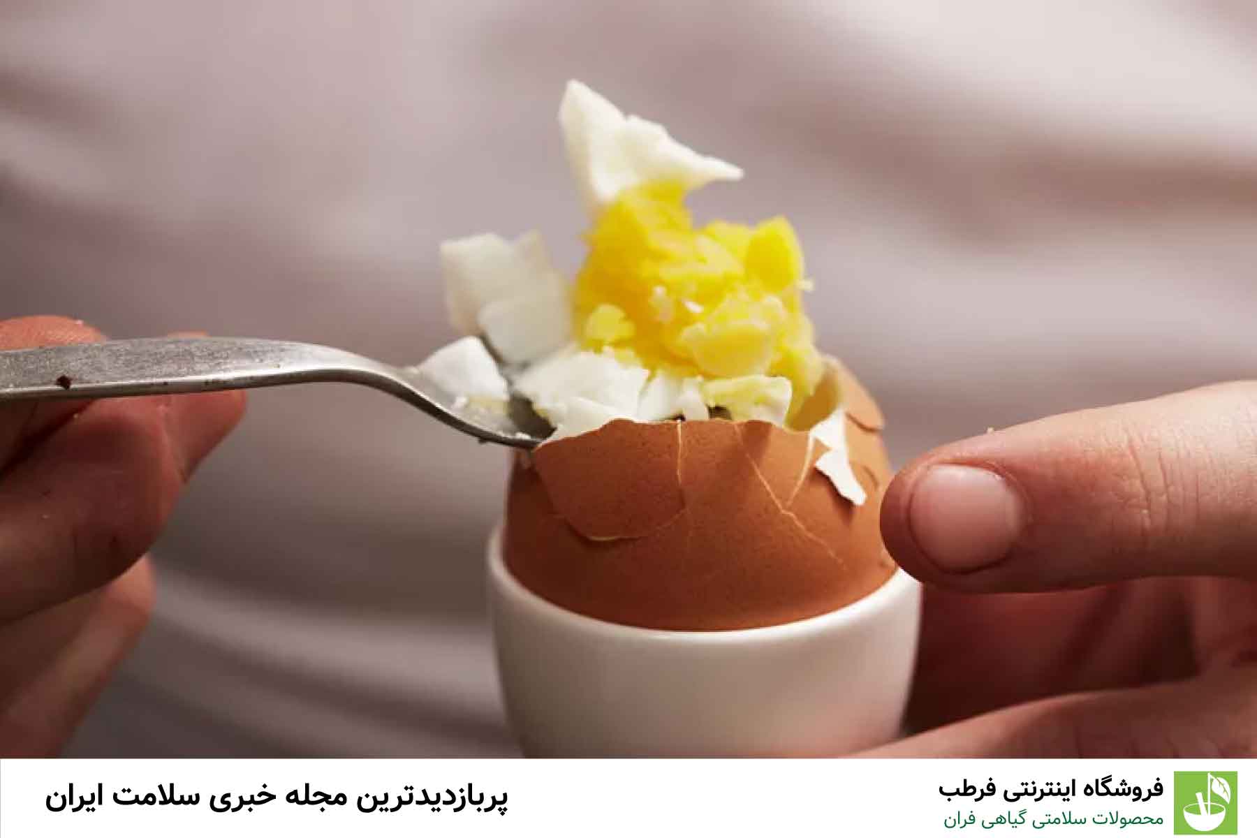 تخم مرغ و چربیهای اشباع شده