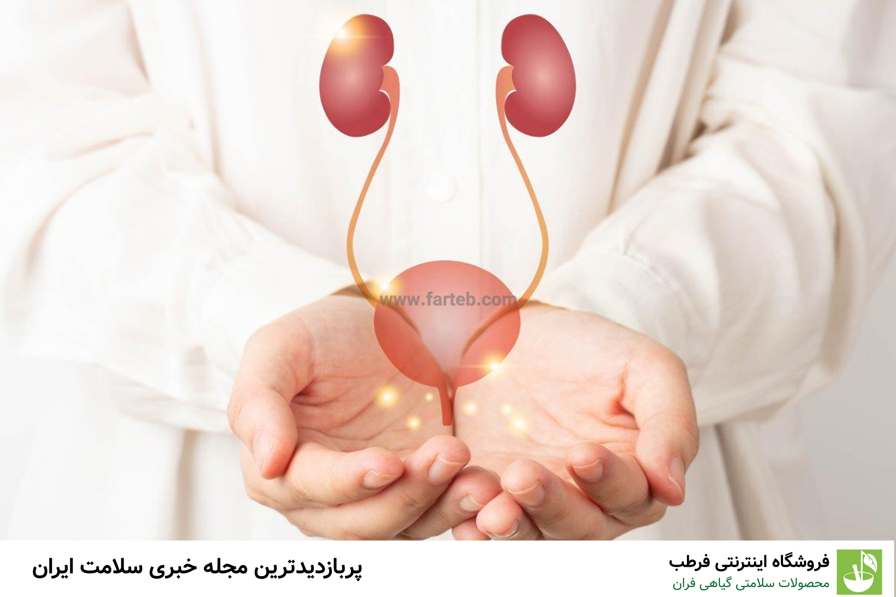 چه بخوریم تا عفونت ادراری را درمان کنیم؟