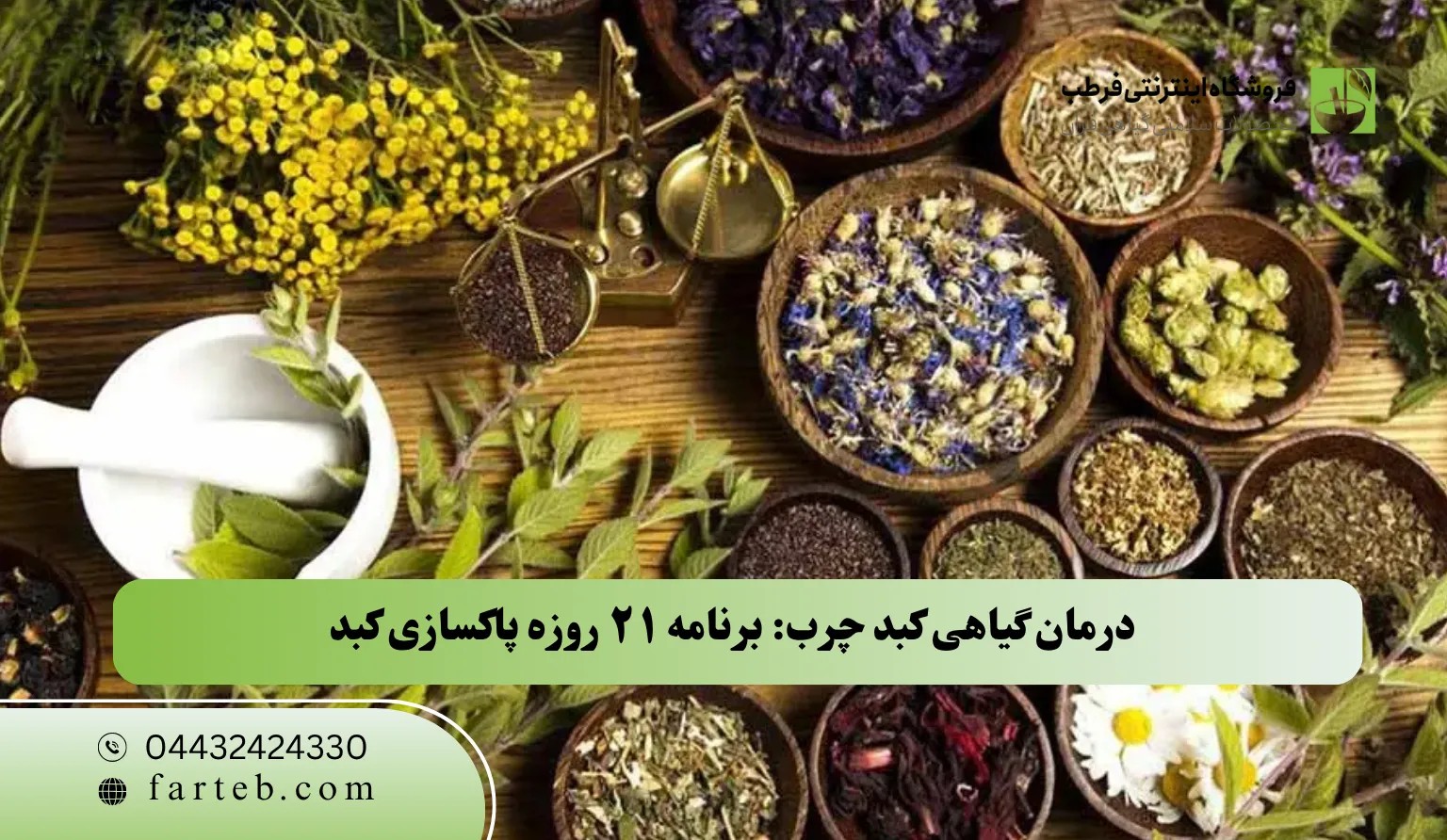 درمان گیاهی کبد چرب در 21 روز با طب سنتی فرطب